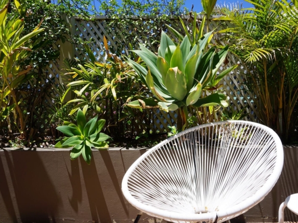 duCHATEAU | Real Estate | Surry Hills - 12-22 Corben Street - Surry Hills