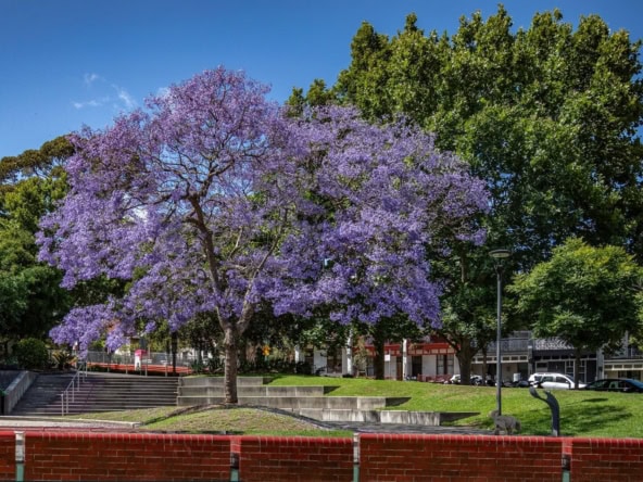 duCHATEAU | Real Estate | Surry Hills - 174-186 Goulburn Street - Surry Hills
