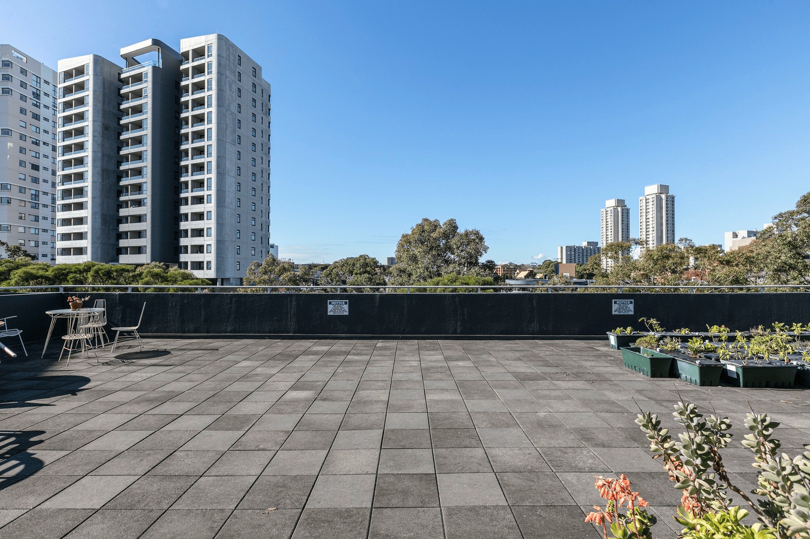 duCHATEAU | Real Estate | Surry Hills - 32 Rosehill Street - Redfern