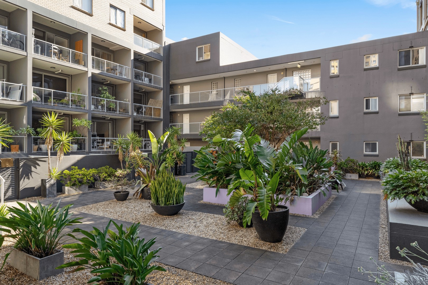 duCHATEAU | Real Estate | Surry Hills - 32 Rosehill Street - Redfern