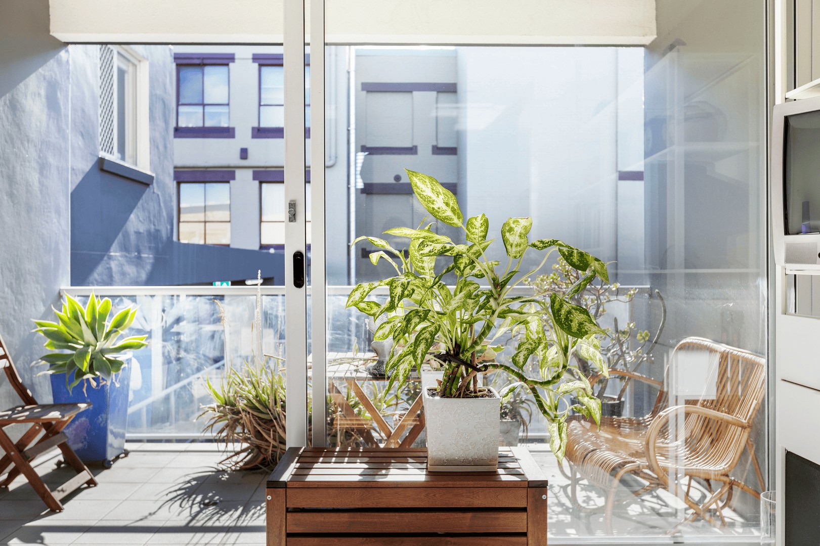 duCHATEAU | Real Estate | Surry Hills - 32 Rosehill Street - Redfern