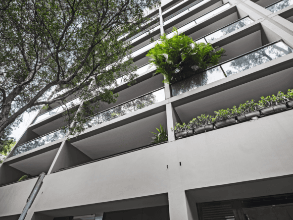 duCHATEAU | Real Estate | Surry Hills - 45 Holt Street - Surry Hills