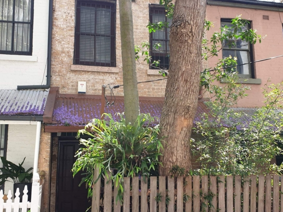 duCHATEAU | Real Estate | Surry Hills - 46 William Street - Redfern