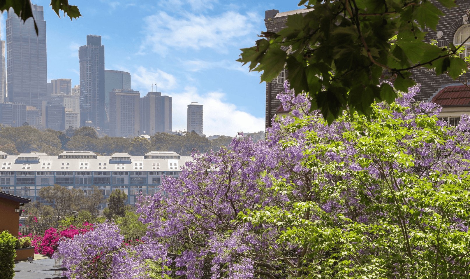 duCHATEAU | Real Estate | Surry Hills - 7 St Neots Avenue - Potts Point