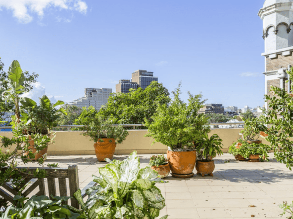 duCHATEAU | Real Estate | Surry Hills - 18-32 Oxford Street - Surry Hills