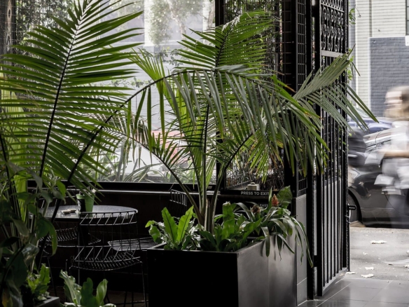 duCHATEAU | Real Estate | Surry Hills - 517 Elizabeth Street - Surry Hills