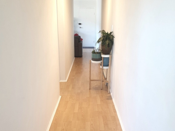 duCHATEAU | Real Estate | Surry Hills - 39 Clyde Street - Croydon Park