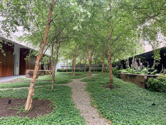 duCHATEAU | Real Estate | Surry Hills - 17 Danks Street - Waterloo