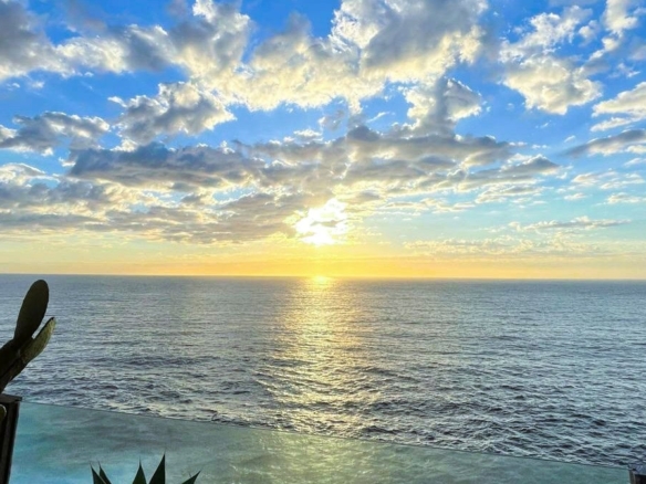 duCHATEAU | Real Estate | Surry Hills - 164 Hastings Parade - North Bondi