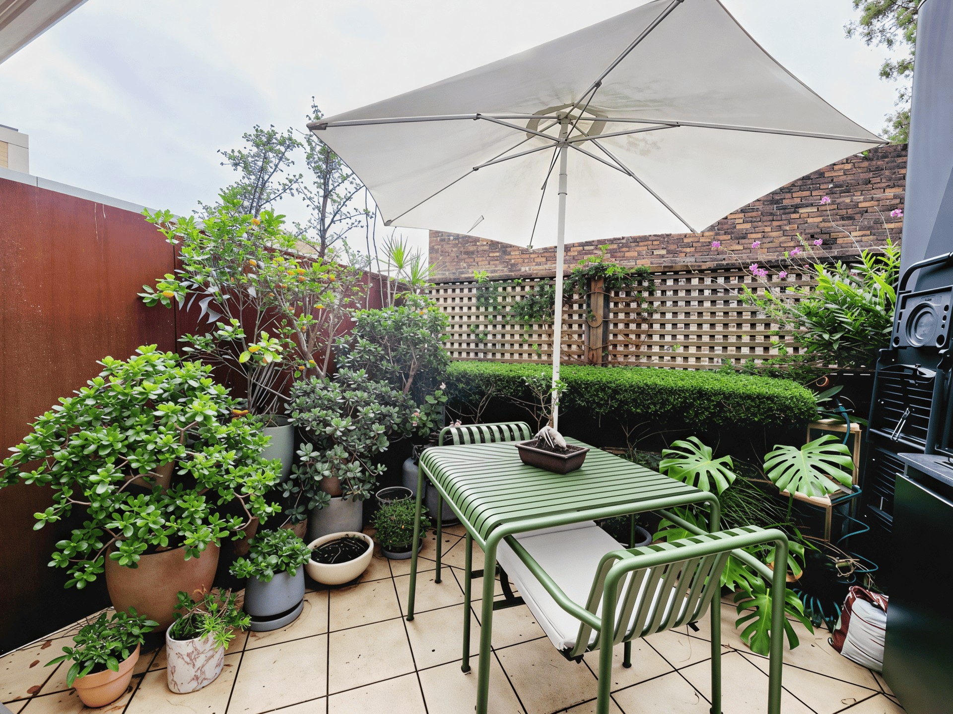 duCHATEAU | Real Estate | Surry Hills - 302 Crown Street - Surry Hills