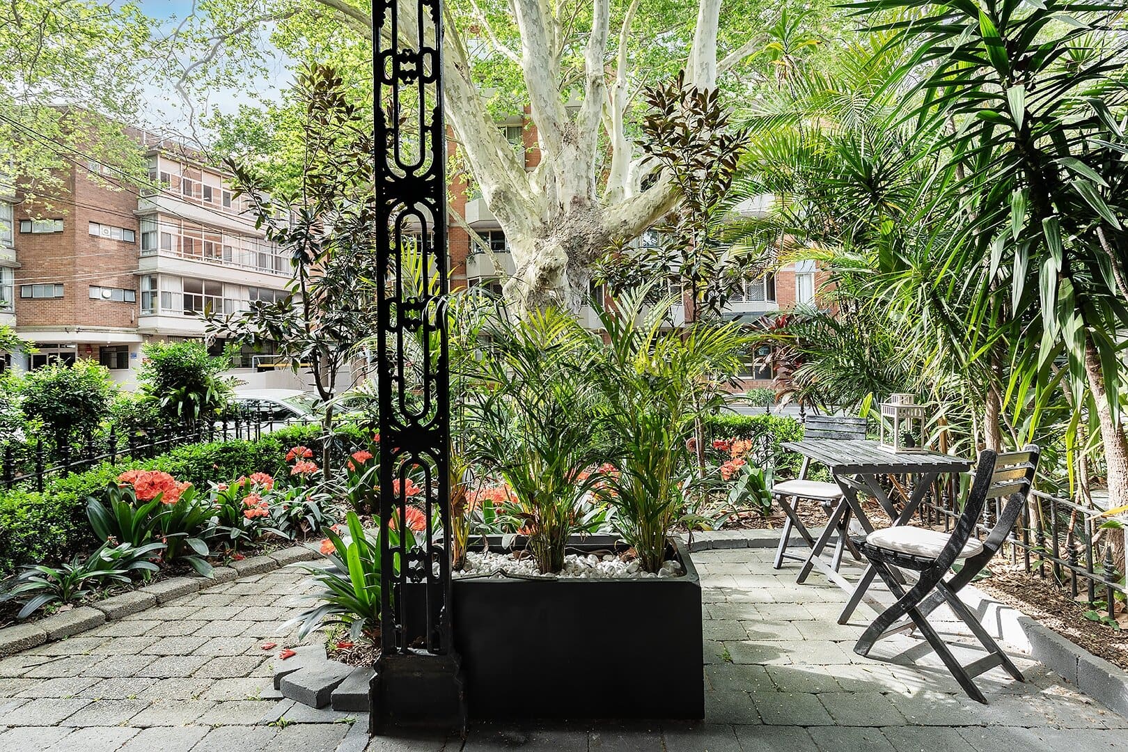 duCHATEAU | Real Estate | Surry Hills - 191 Albion Street - Surry Hills