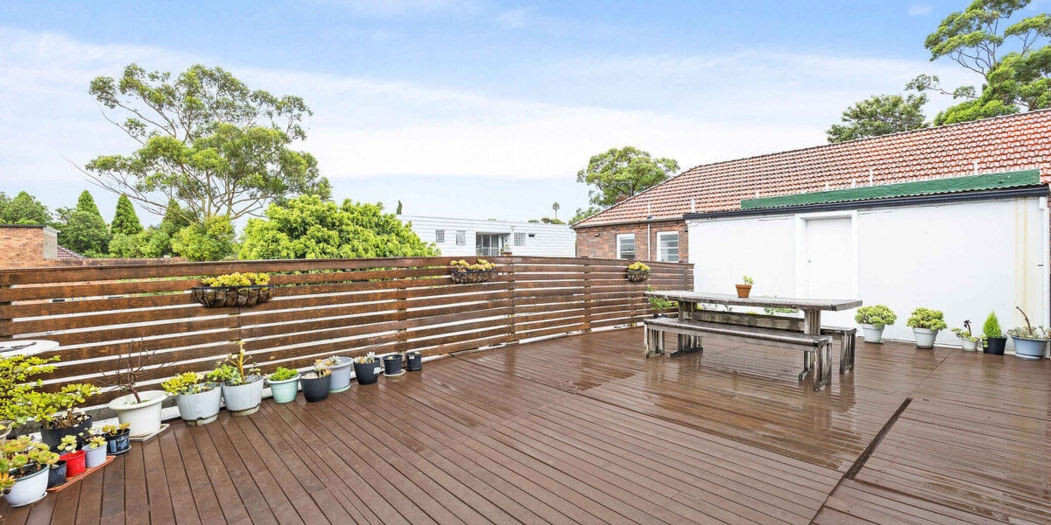 duCHATEAU | Real Estate | Surry Hills - 22 Furber Road - Centennial Park