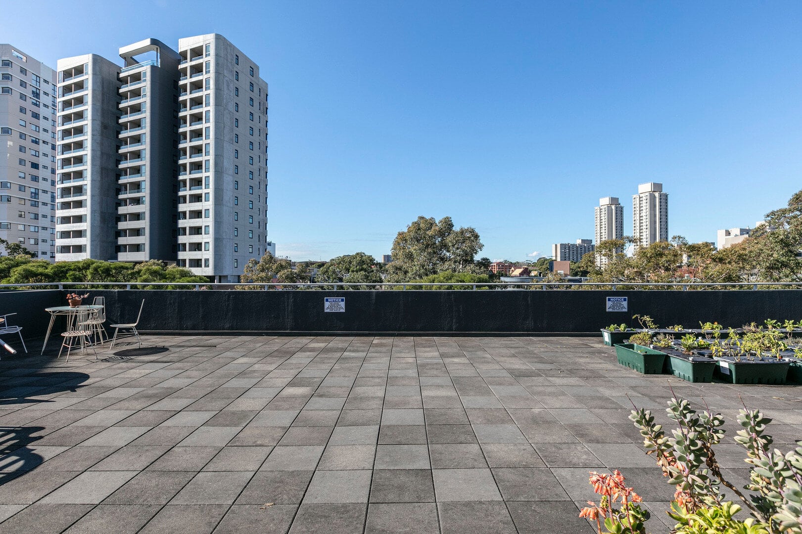 duCHATEAU | Real Estate | Surry Hills - 32 Rosehill Street - Redfern