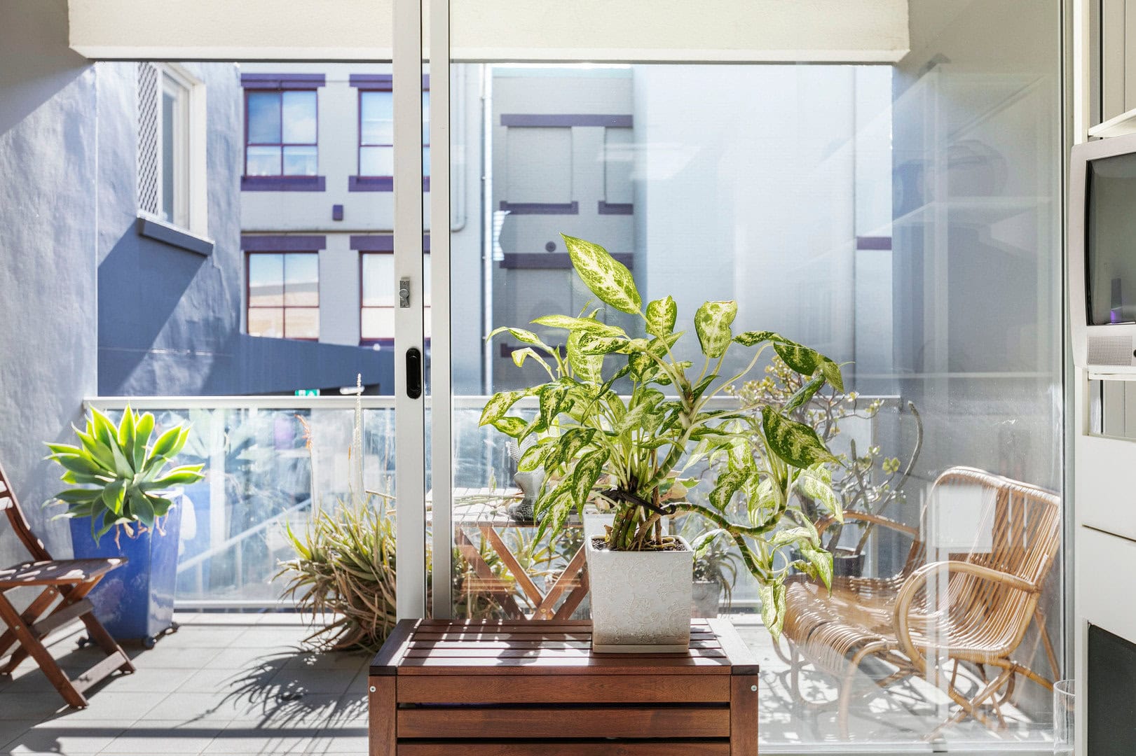 duCHATEAU | Real Estate | Surry Hills - 32 Rosehill Street - Redfern