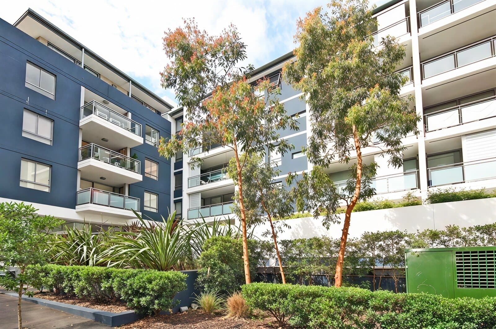 duCHATEAU | Real Estate | Surry Hills - 209 Albion Street - Surry Hills