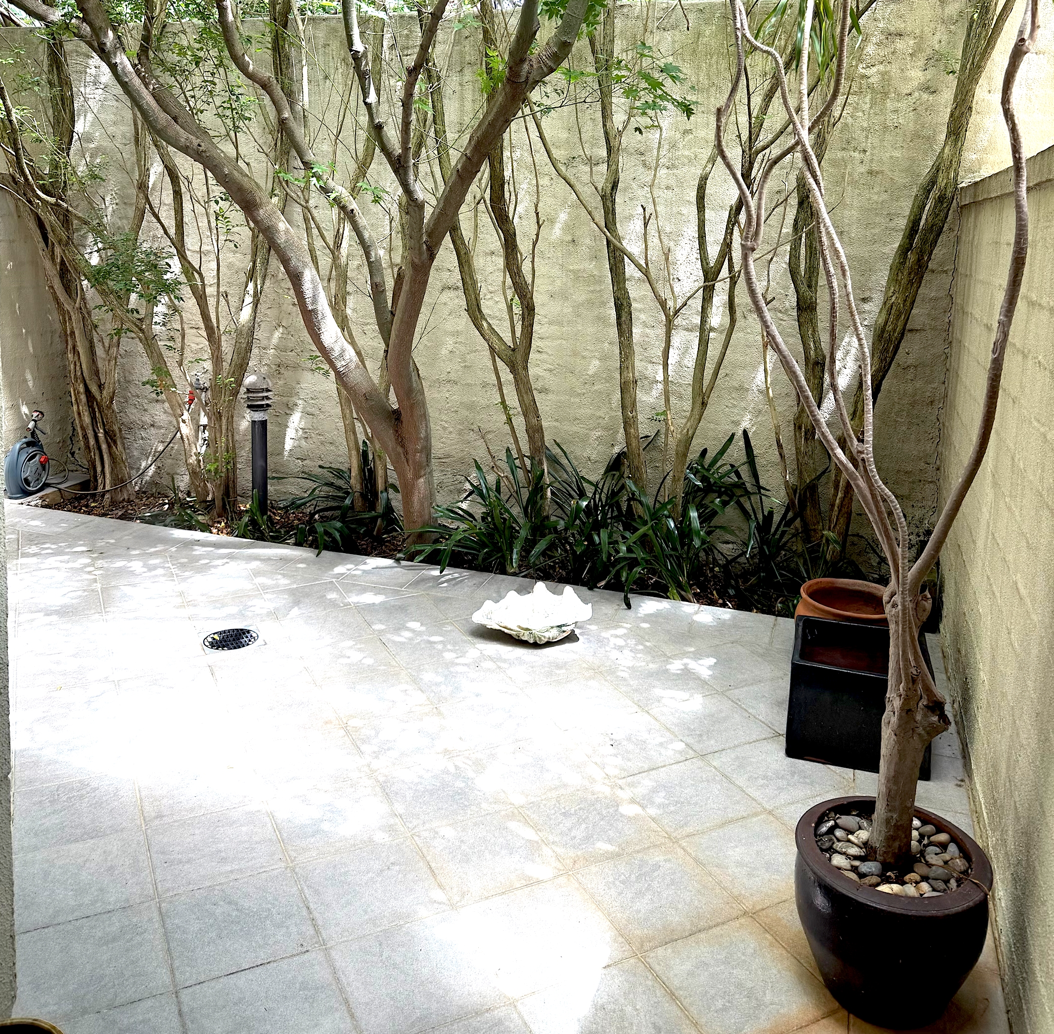 duCHATEAU | Real Estate | Surry Hills - 114 Pitt Street - Redfern