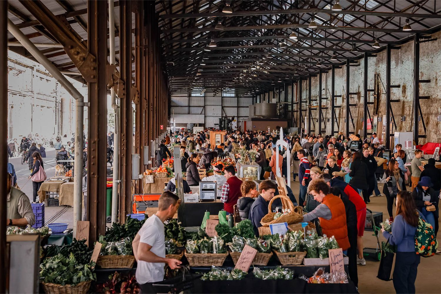 duCHATEAU | Real Estate | Surry Hills - 402 Wilson Street - Darlington