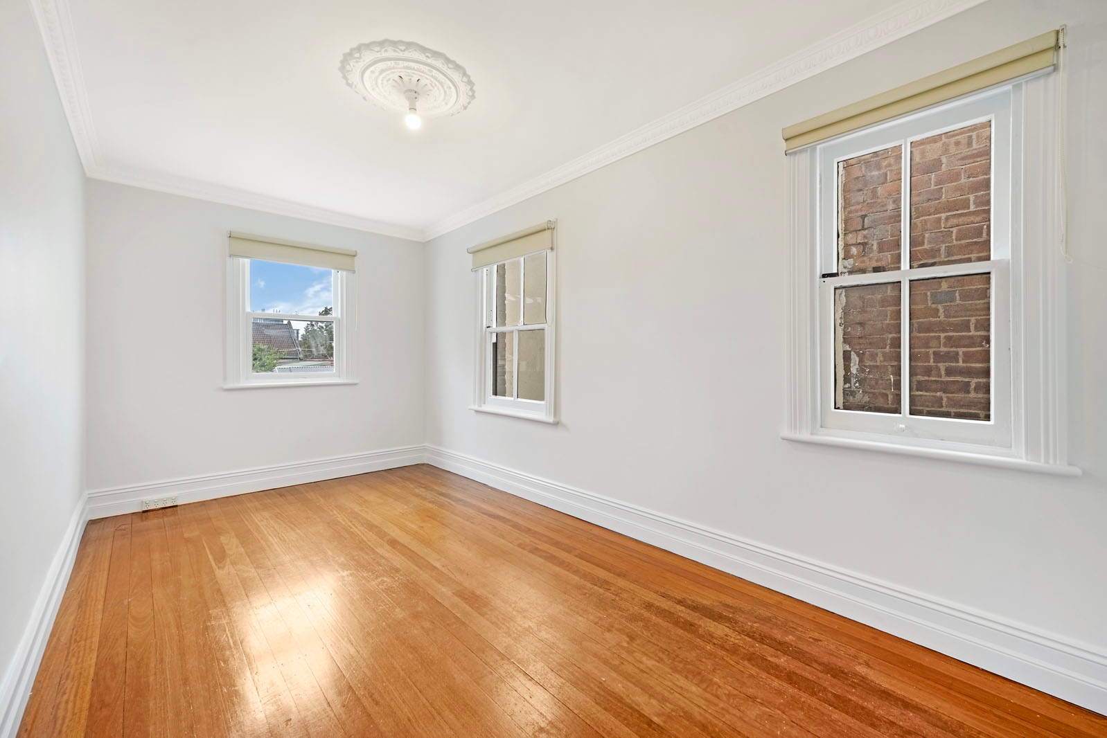 duCHATEAU | Real Estate | Surry Hills - 402 Wilson Street - Darlington