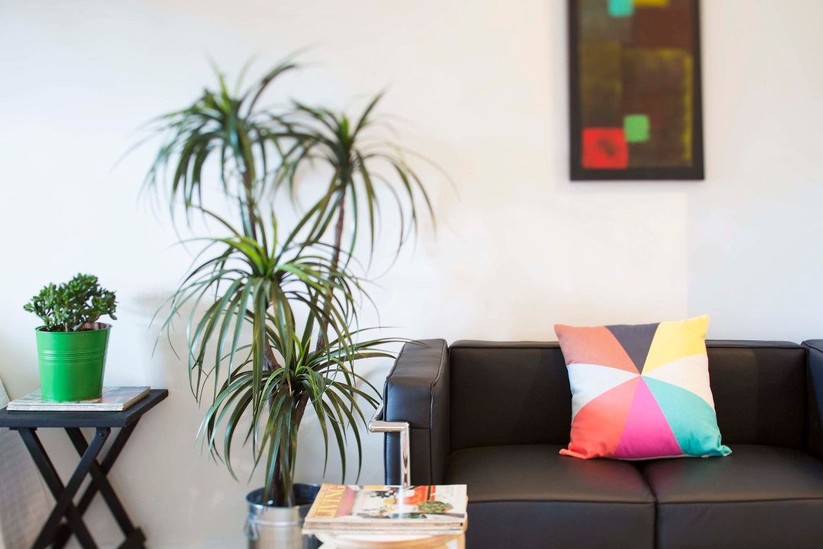 duCHATEAU | Real Estate | Surry Hills - 655 South Dowling Street - Surry Hills