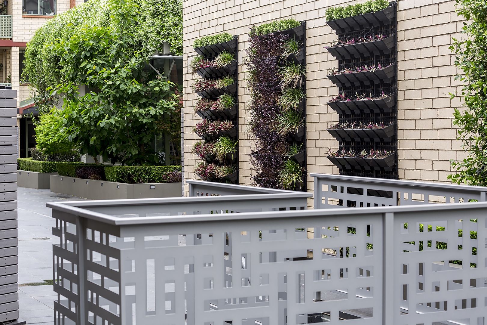 duCHATEAU | Real Estate | Surry Hills - 30 Nobbs Street - Surry Hills