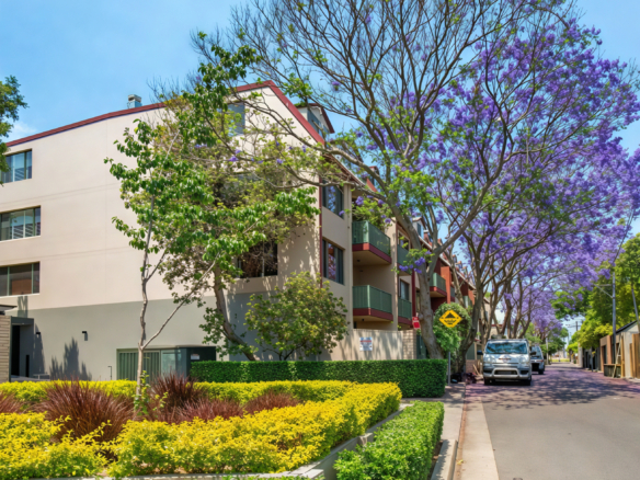 duCHATEAU | Real Estate | Surry Hills - 30 Nobbs Street - Surry Hills