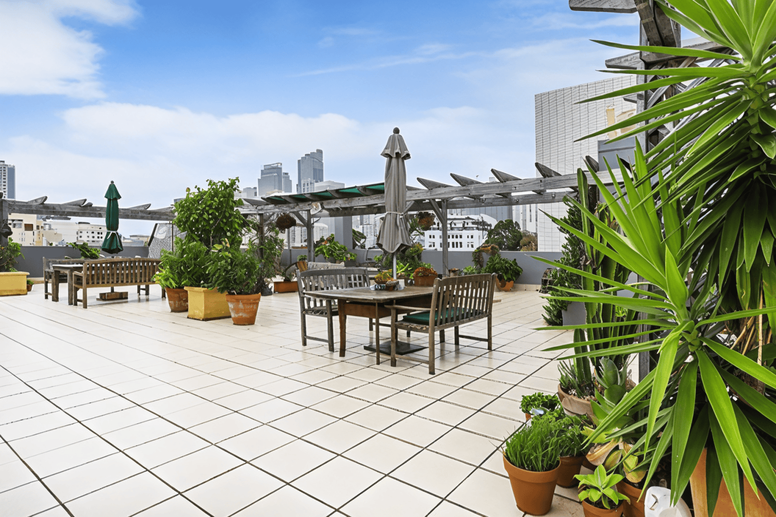 duCHATEAU | Real Estate | Surry Hills - 102 Albion Street - Surry Hills