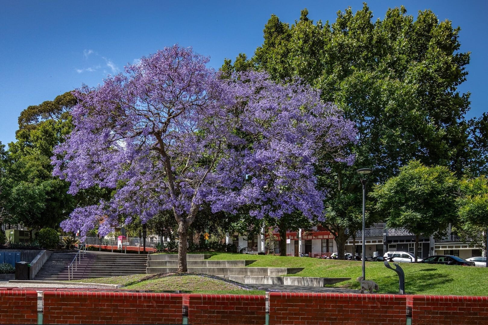 duCHATEAU | Real Estate | Surry Hills - 174-186 Goulburn Street - Surry Hills