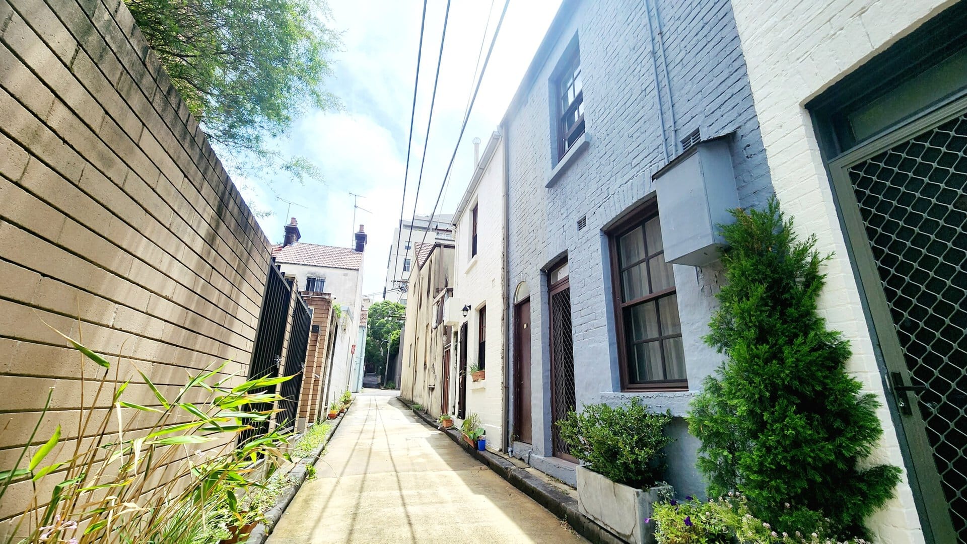 duCHATEAU | Real Estate | Surry Hills - 12 Batman Lane - Surry Hills