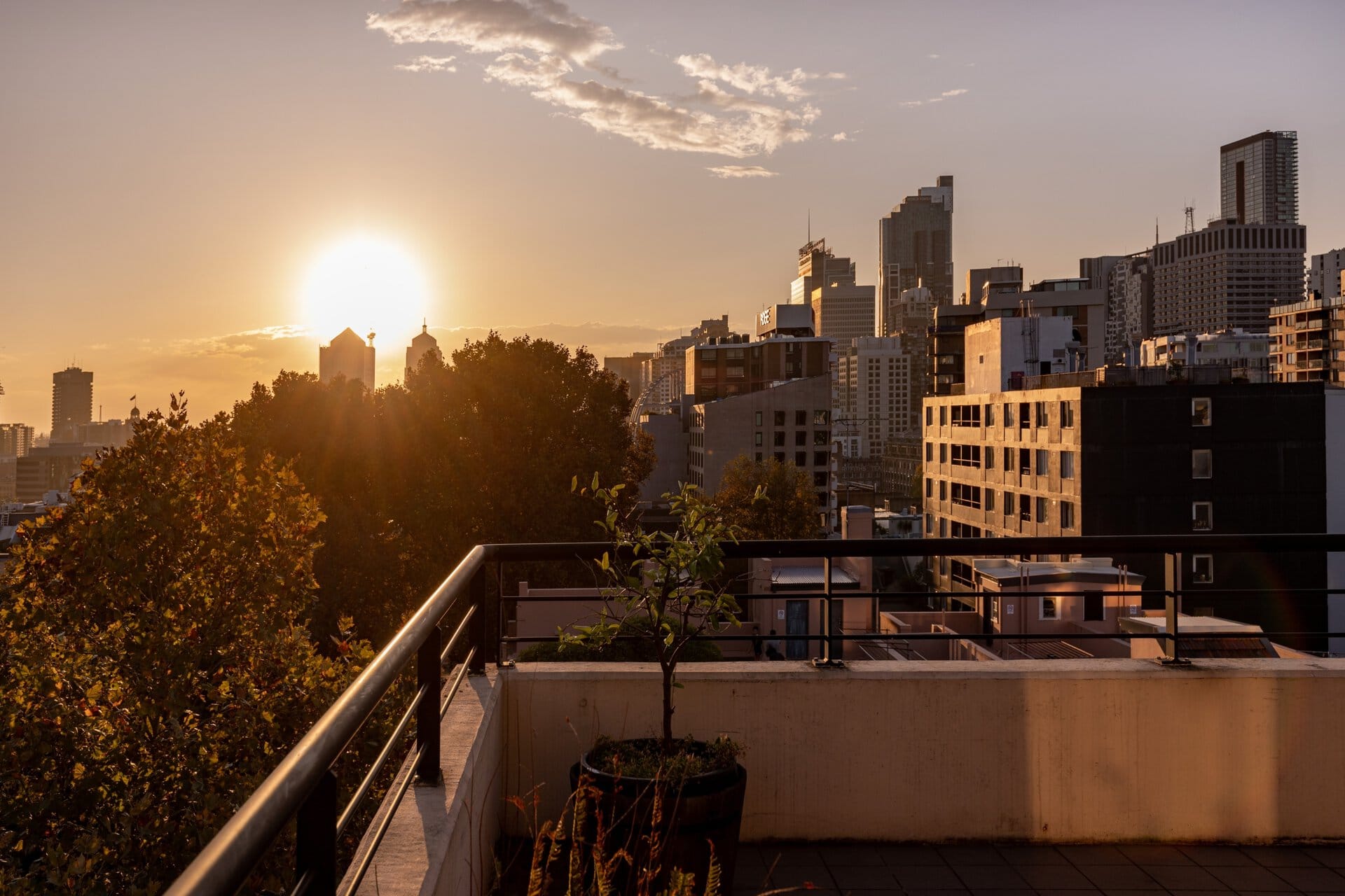 duCHATEAU | Real Estate | Surry Hills - 200 Campbell Street - Darlinghurst
