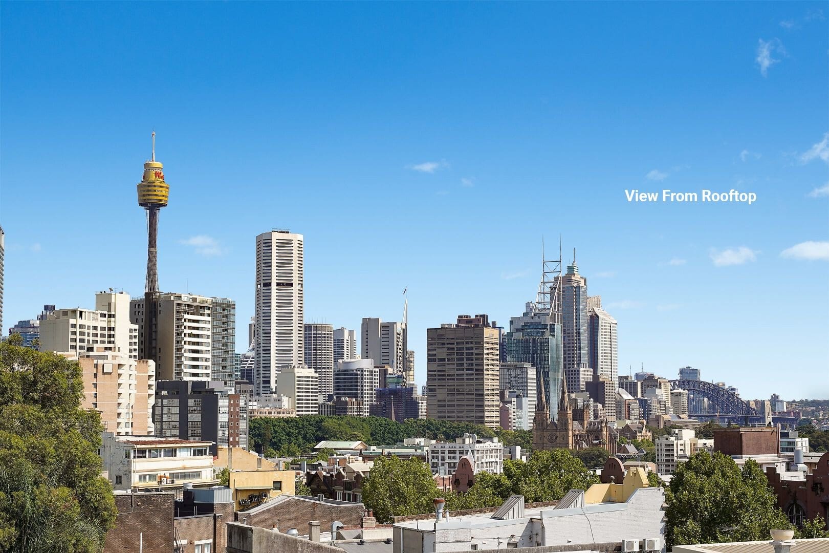 duCHATEAU | Real Estate | Surry Hills - 200 Campbell Street - Surry Hills