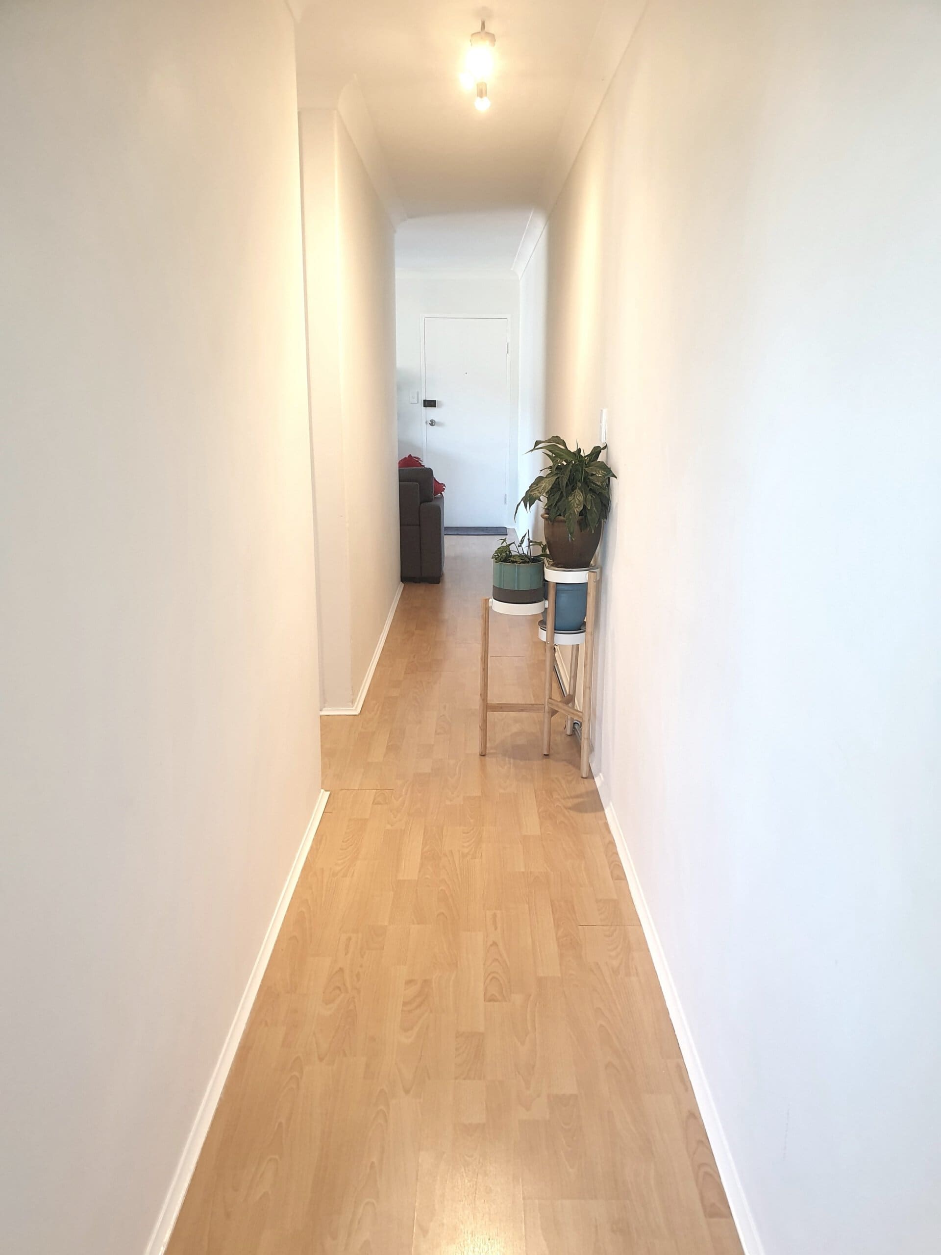 duCHATEAU | Real Estate | Surry Hills - 39 Clyde Street - Croydon Park