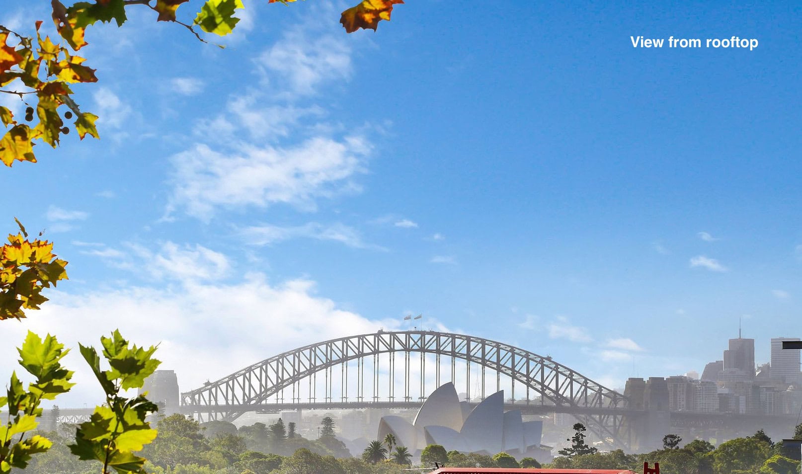 duCHATEAU | Real Estate | Surry Hills - 7 St Neots Avenue - Potts Point