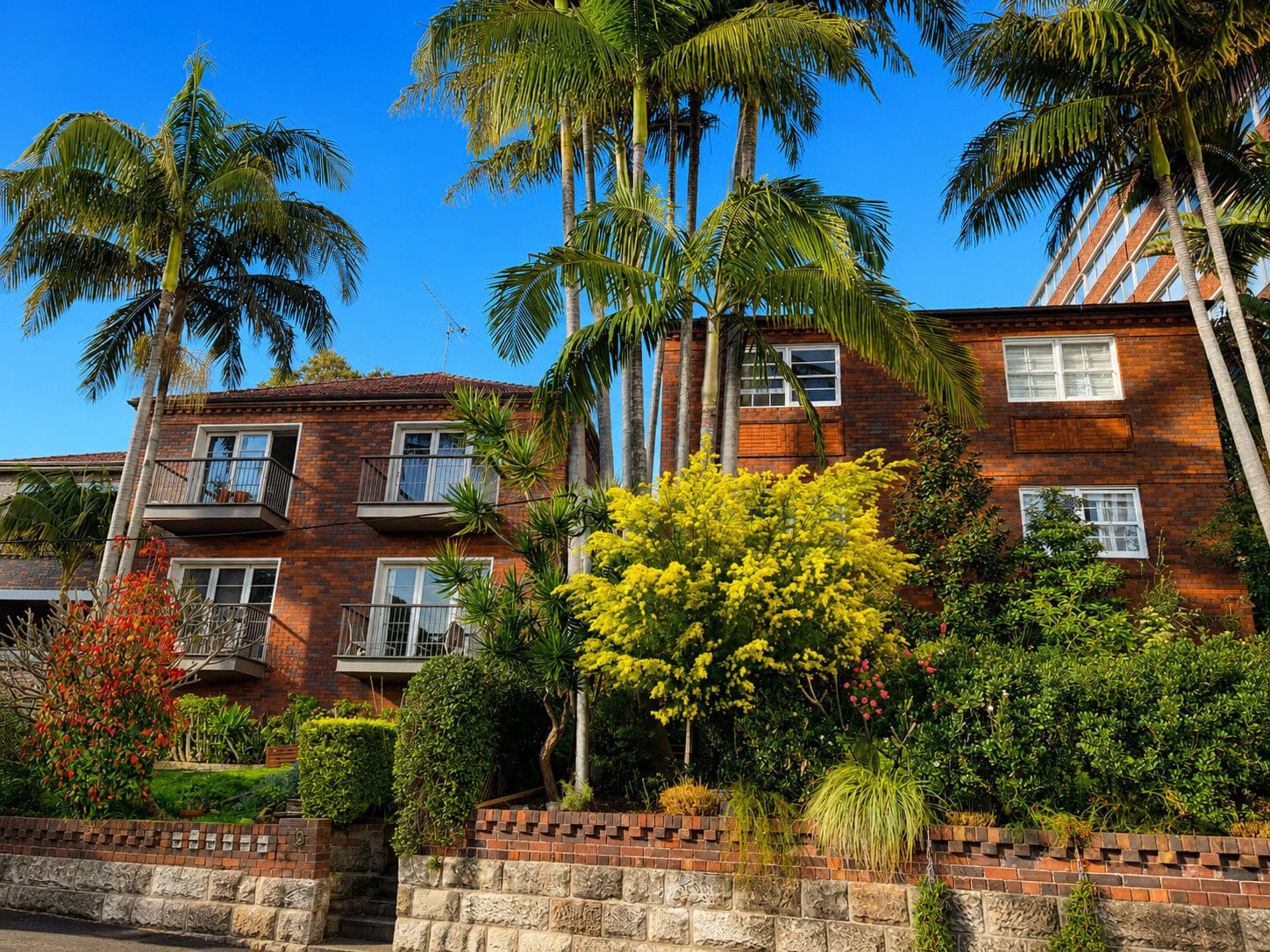 duCHATEAU | Real Estate | Surry Hills - 19 Cooper Street - Paddington