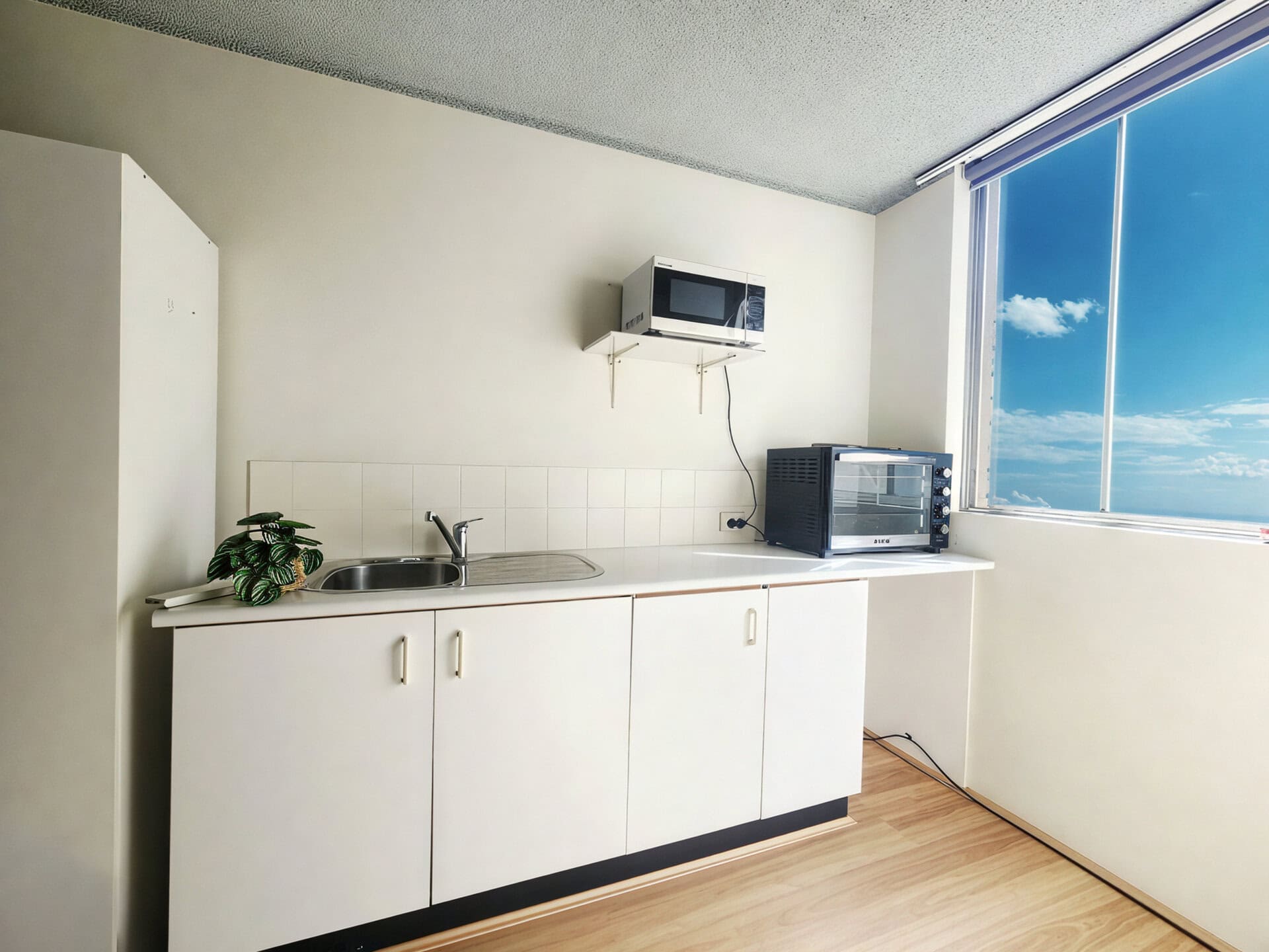 duCHATEAU | Real Estate | Surry Hills - 13 Waine Street - Surry Hills