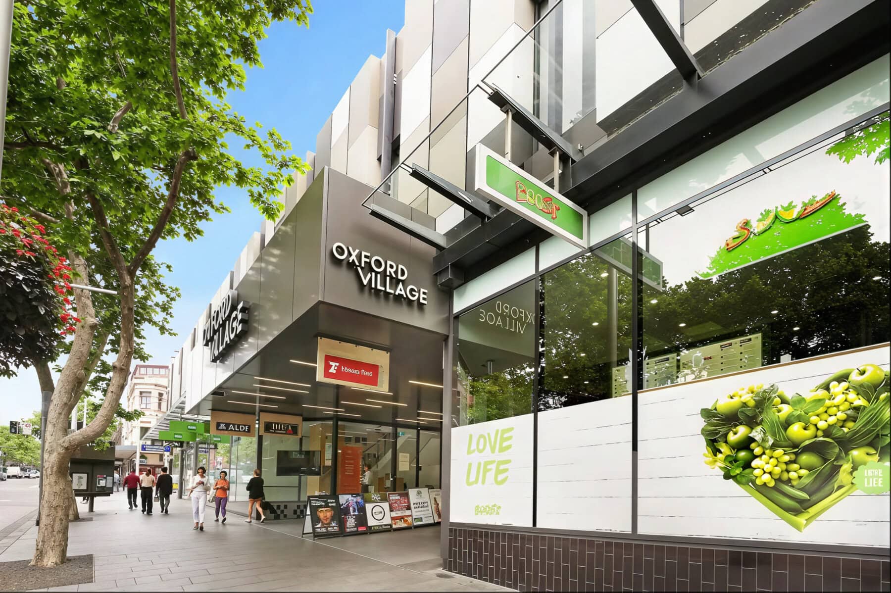 duCHATEAU | Real Estate | Surry Hills - 13 Waine Street - Surry Hills