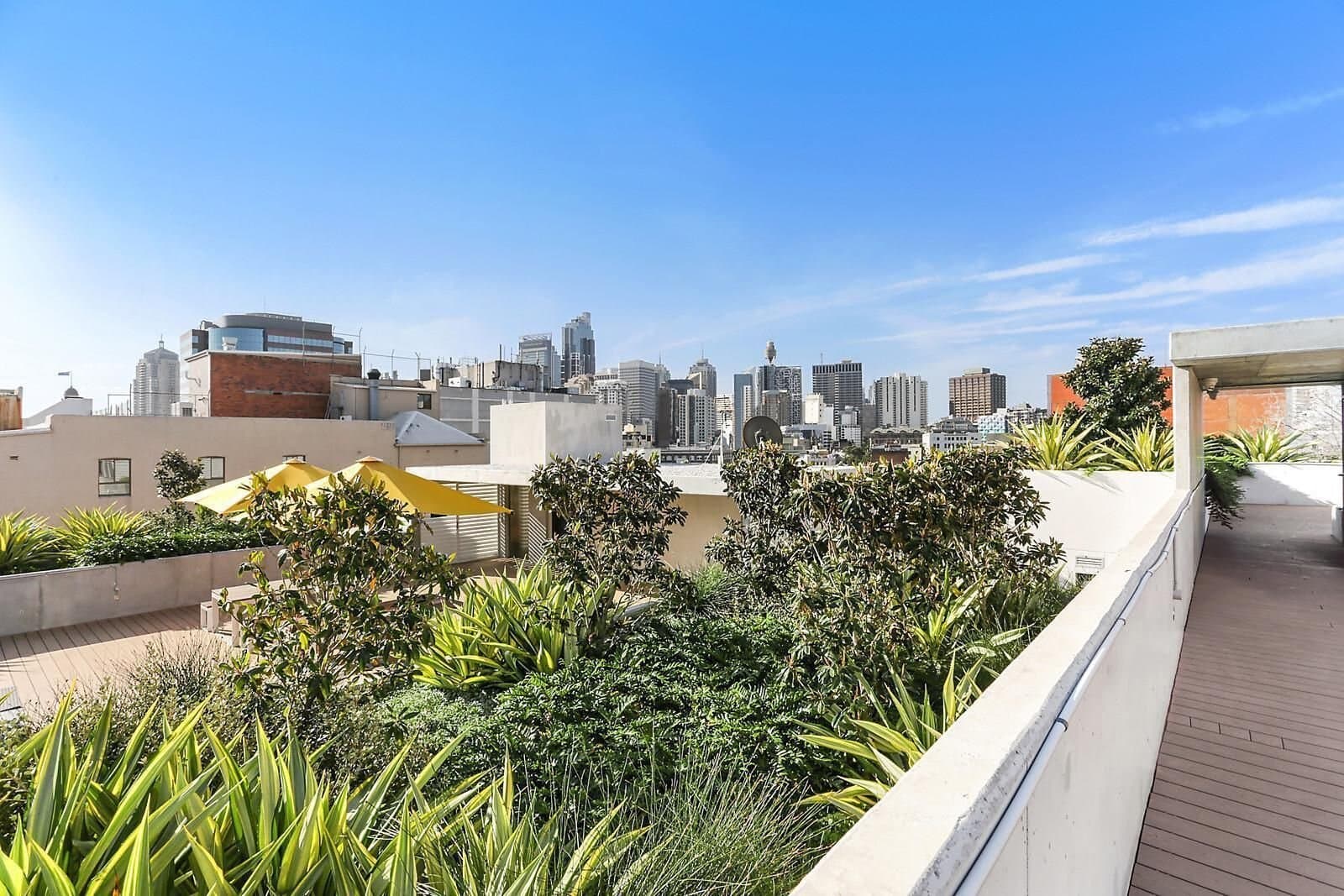 duCHATEAU | Real Estate | Surry Hills - 81 Foveaux Street - Surry Hills